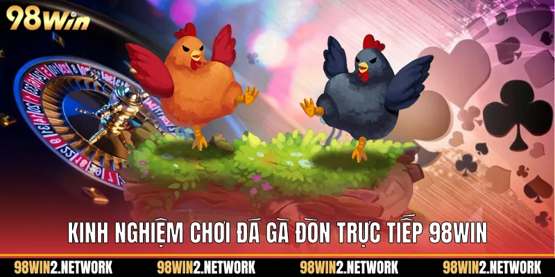 Kinh nghiệm chơi Đá gà đòn trực tiếp 98Win